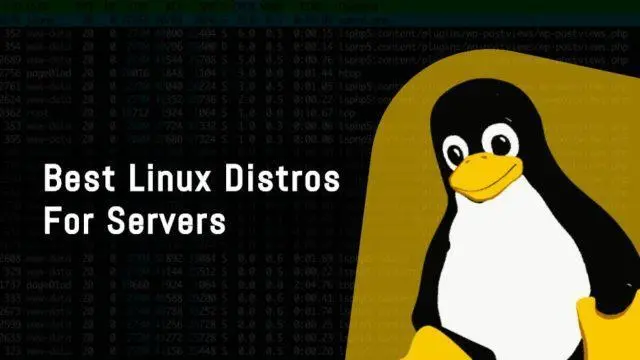 教学大家linux服务器搭建与管理-连界优站