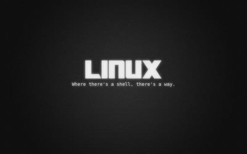 解析Linux系统性能：深入掌握top命令的关键优化方法-连界优站