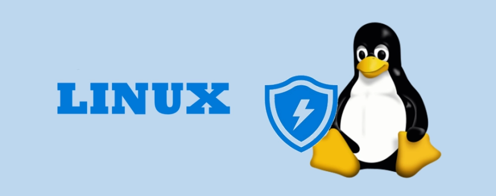 Linux进程和计划任务管理：保障系统的稳定运行-连界优站