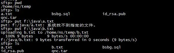 SFTP常用命令：远程文件传输的便捷操作-连界优站