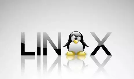 探索Linux命令行中的HTTP请求发送方法-连界优站