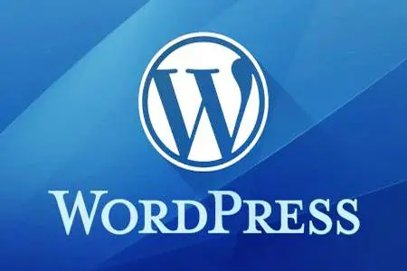 “选择最适合WordPress建站的高效服务器系统：推荐与比较”-连界优站