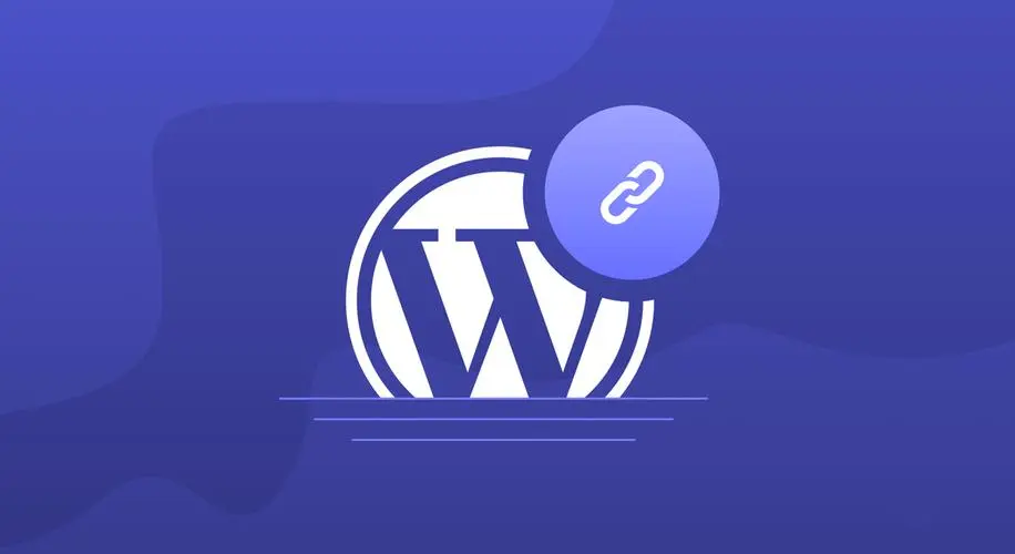 WordPress托管之道：如何选择虚拟主机或服务器-连界优站