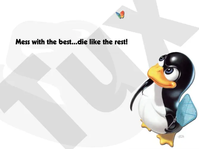 探秘Linux下正确获取物理内存大小的方法与技巧-连界优站