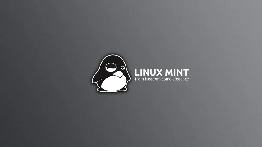在Linux环境下一步步安装R语言：简明指南-连界优站