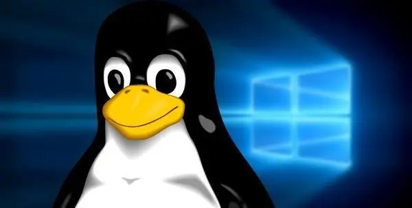深入理解：Linux系统中的文件类型与文件权限-连界优站