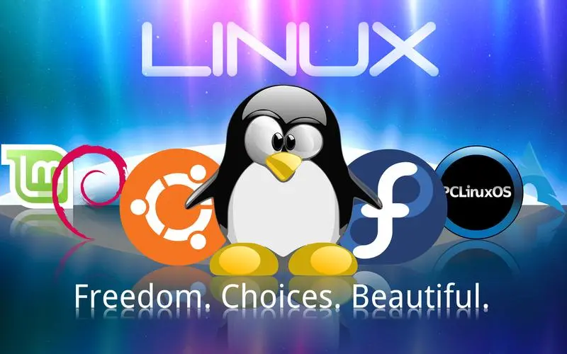 Linux 上的包管理器 YUM 和 版本控制工具 Git 的使用-连界优站