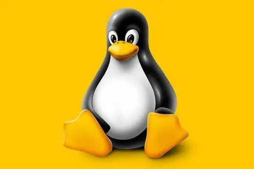 深入探讨Linux底层基础知识-连界优站