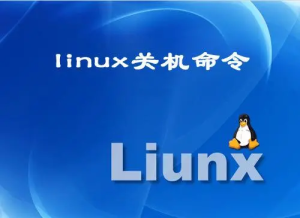 linux服务器怎么关机,命令详解-连界优站