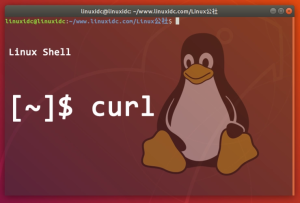 linux服务器系统curl命令(详细讲解)-连界优站