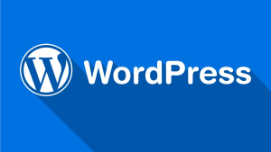 如何安装WordPress系统,详细教学-连界优站