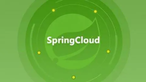 Dubbo与Spring Cloud:解析两者之间的差异与比较-连界优站