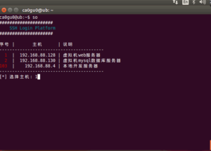 简化运维:实用的Linux一键脚本工具及应用-连界优站