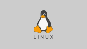 从头开始:Linux下的网卡配置、用户管理与互信息-连界优站