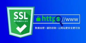 保障通信安全：深入了解 SSL、生成 SSL 密钥对及 Nginx 配置 SSL-连界优站