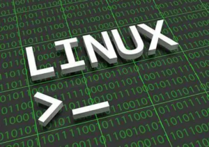 探索进程细节:深入解析Linux系统中的ps命令-连界优站