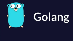 解析Go语言的包下载和配置步骤:从零开始构建你的开发环境-连界优站