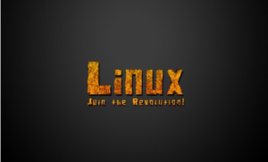 掌握Linux虚拟机中常用的命令:提升管理效率-连界优站