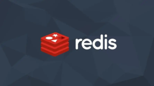 掌握Redis：完整的基础命令手册-连界优站