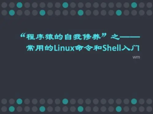 探索Shell命令中的通配符表达式:精准匹配文件的利器-连界优站