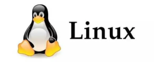 深入了解Linux的History命令:时间旅行的终极工具-连界优站