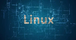 Linux双网卡双IP配置:扩展网络连接的得力助手-连界优站