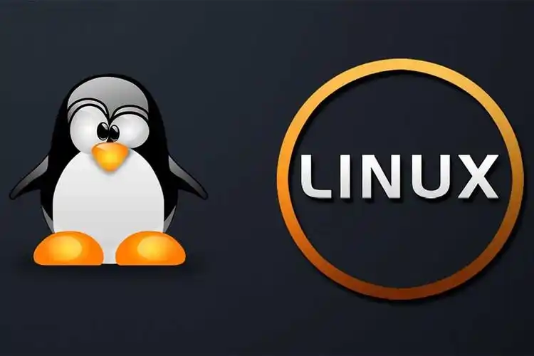 Linux Swap分区详解与系统优化策略-连界优站