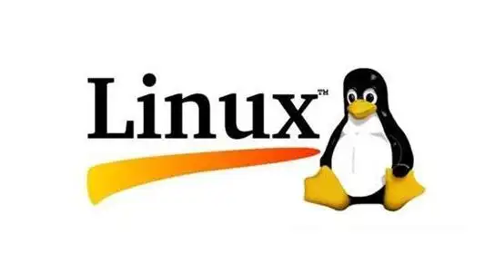 深入探讨Linux内存管理与泄漏问题解决策略-连界优站