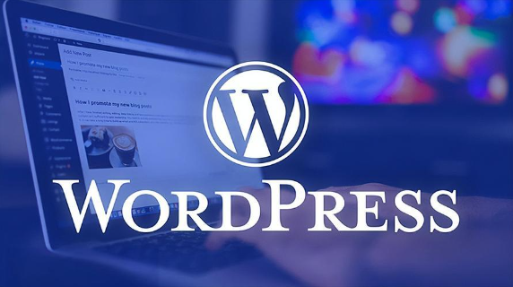 🌈 WordPress自动化：文章发布时自动选择TAG标签的妙招 🌈-连界优站